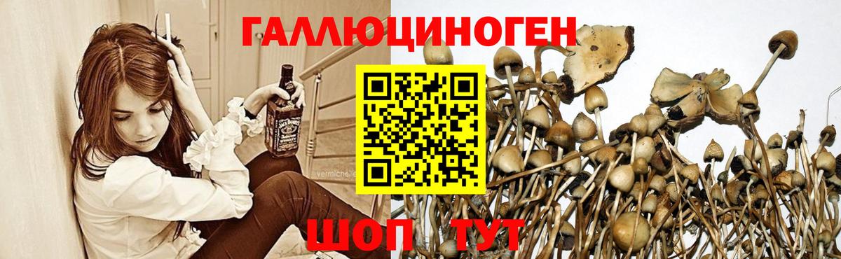 Псилоцибиновые грибы Magic Shrooms Верхняя Пышма